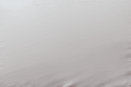 Encased Smooth Top Polyester Hypoallergenic Twin XL Mattress Protector